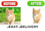 do bulk image background removal and photo editing service